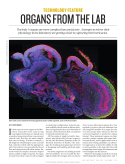 organs from the lab - Laboratory for Multiscale Regenerative