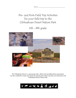 Pre- and Post-Field Trip Activities for your field trip to the