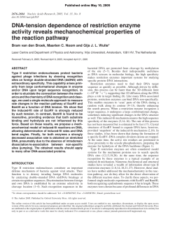 DNA-tension dependence of restriction enzyme activity reveals