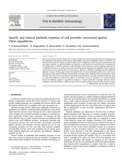 Specific and natural antibody response of cod juveniles