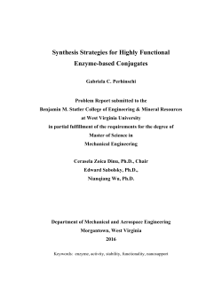 Synthesis Strategies for Highly Functional Enzyme