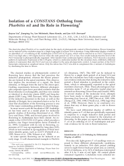 Isolation of a CONSTANS Ortholog from Pharbitis