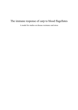 The immune response of carp to blood flagellates