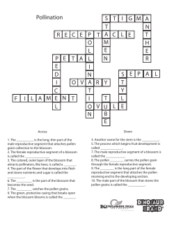 Pollination Crossword Key