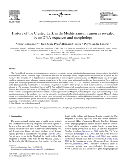 History of the Crested Lark in the Mediterranean region as revealed