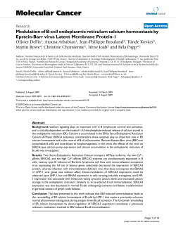 Modulation of B-cell endoplasmic reticulum calcium homeostasis by