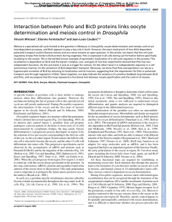 Interaction between Polo and BicD proteins links