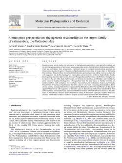 A multigenic perspective on phylogenetic relationships in the largest