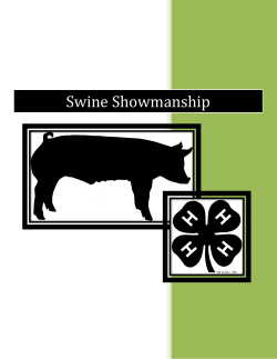 Swine Showmanship Guide