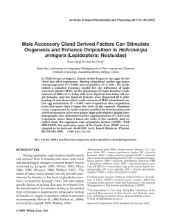 Male accessory gland derived factors can stimulate oogenesis and