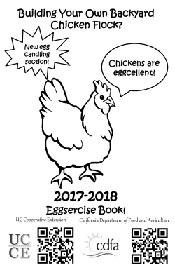Eggsercise Book!