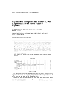 Reproductive biology in Acacia caven (Mol.) Mol.(Leguminosae) in