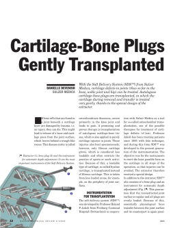 Cartilage-Bone Plugs Gently Transplanted