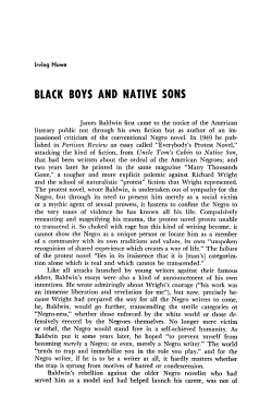 black boys and native sons