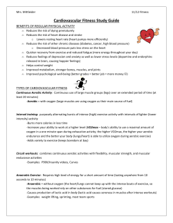 Cardiovascular Fitness Study Guide