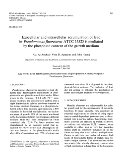 Exocellular and intracellular accumulation of lead in Pseudomonas