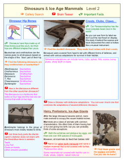 Dinosaur and Mammals answer guide ELEM