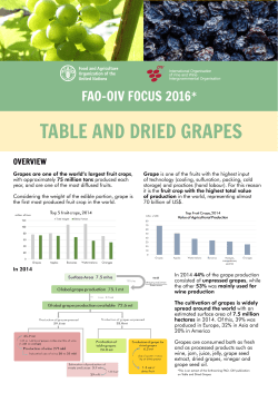 Extract &ldquo;Table and dried grapes focus 2016&rdquo;