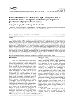 Comparative Study of the Effects of Two High