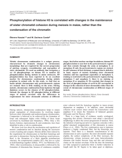 H3 phosphorylation and sister chromatid cohesion