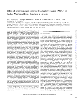 on Radula Mechanoafferent Function in Aplysia