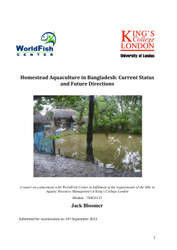Homestead Aquaculture in Bangladesh