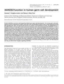 NANOS3 function in human germ cell development