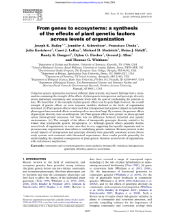 From genes to ecosystems: a synthesis of the effects of plant genetic