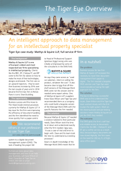 The Tiger Eye Overview