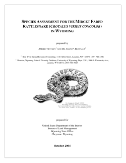 species assessment for the midget faded rattlesnake