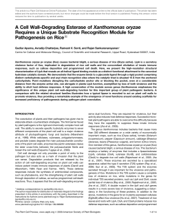 A Cell Wall&ndash;Degrading Esterase of Xanthomonas