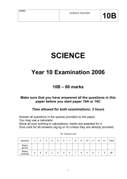 10b science - No Brain Too Small