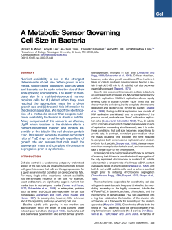 A Metabolic Sensor Governing Cell Size in Bacteria