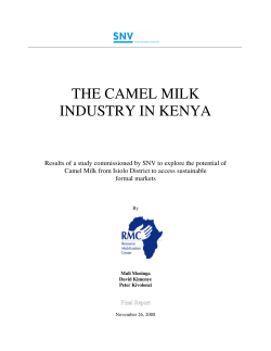 THE CAMEL MILK INDUSTRY IN KENYA