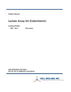 Lactate Assay Kit (Colorimetric)