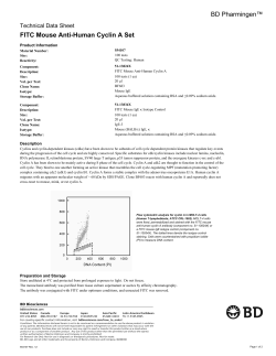 FITC Mouse Anti-Human Cyclin A Set &mdash; 554107