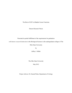 The Role of E2F3 in Bladder Cancer Functions Honors Research
