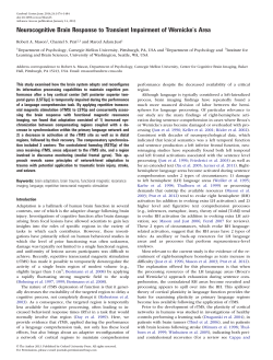 Neurocognitive Brain Response to Transient