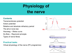 Physiology of nerve and muscle