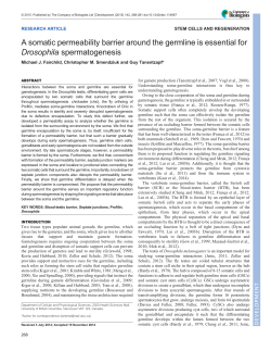 A somatic permeability barrier around the germline is