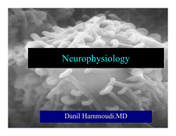 Neurophysiology - Sinoe Medical Association