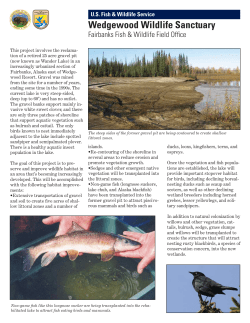 Field Office Report for Wander Lake Project