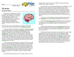 The Brain - VIP-Spelling