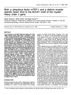 Both a ubiquitous factor mTEF-1 and a distinct muscle