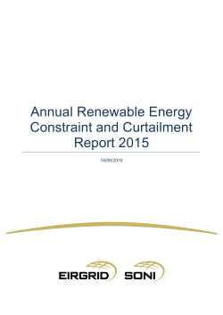 Annual Renewable Energy Constraint and Curtailment