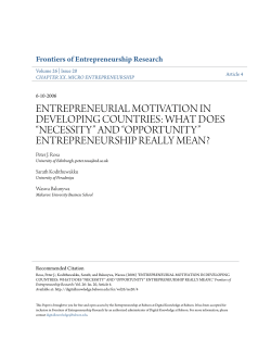 entrepreneurial motivation in developing countries: what does
