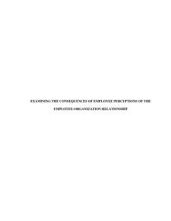 Examining the Consequences of Employee