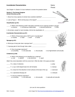 Invertebrate Characteristics