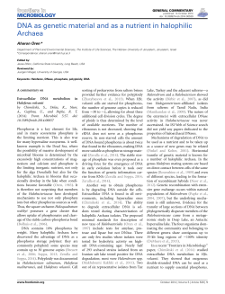 DNA as genetic material and as a nutrient in halophilic Archaea