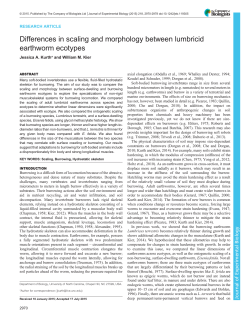 Differences in scaling and morphology between lumbricid